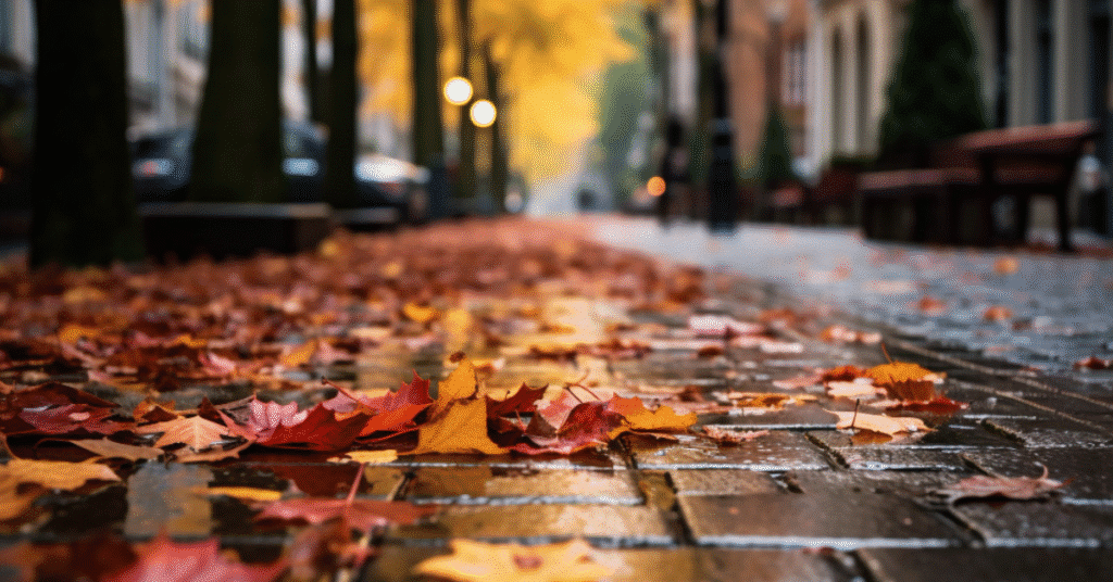 Foglie autunnali su strada bagnata in città italiana – simbolo del cambiamento nel mercato del lavoro post-estate 2025 Kilpatrick